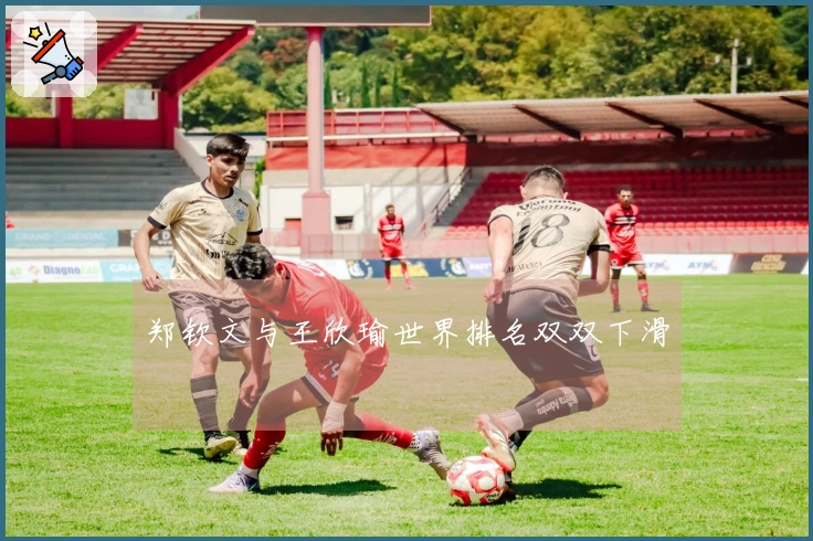 郑钦文与王欣瑜世界排名双双下滑